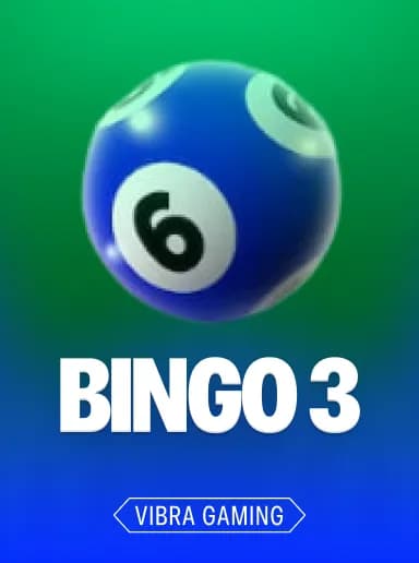 Bingo 3